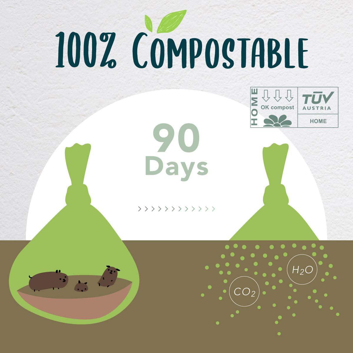 61CFs06AdfL._AC_SL1200_