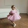 Vestido formal para niños para exportación, con adornos florales 3D, mangas abullonadas y una falda de tul multicapa, perfecto para sesiones de fotos, banquetes y como vestido de princesa para niñas
