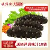 Pepino de Mar Instantáneo Dalian Xiaoqin 500g Pepino de Mar de Liaoning Listo para Comer