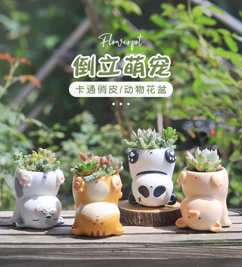 倒立的萌宠花盆R7B5E0_01.jpg