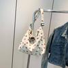 Bolso Tote de Hombro de Moda Casual, Personalidad Hermosa, Elegante, para Primavera y Verano, Nuevo, Moderno, Pequeño, Refrescante, Portátil, Gran Capacidad