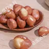 Cacahuates Fritos Crujientes como Snacks, Cacahuates Cocidos con Piel Roja, Sabor Original Salado, Nuevos Snacks Bolsas Comerciales de 2.5kg