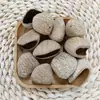 Materiales para Cascabeles de Cáscara de Fruta, Carrillones de Viento de Cáscara de Fruta, Cascabeles de Mano, Materias Primas para Manualidades, Fruta Negra Indonesia, *Sageroa* (Planta Campanilla de Agua), *Sageroa* (Planta Campanilla de Agua), *Sageroa* (Planta Campanilla de Agua)