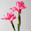 Iris Simulada Estilo Monet Elegante Arreglo de Flores Artificiales para Boda Accesorios Celebridad de Internet Decoración Creativa para Ventanas Flores Artificiales Simuladas