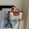 Bolsa Transversal de Palha Tecida 2026 para Mulheres, Mini Bolsa de Palha com Design de Nicho Estilo Ins, Versátil Bolsa de Ombro e de Mão de Verão