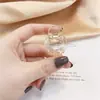 Acessórios de Cabelo da Moda Estilo Coreano Simples Presilha de Cabelo Vazada Transparente de Acrílico Presilha para Franja Presilha de Rabo de Cavalo Presilha Lateral para Mulheres