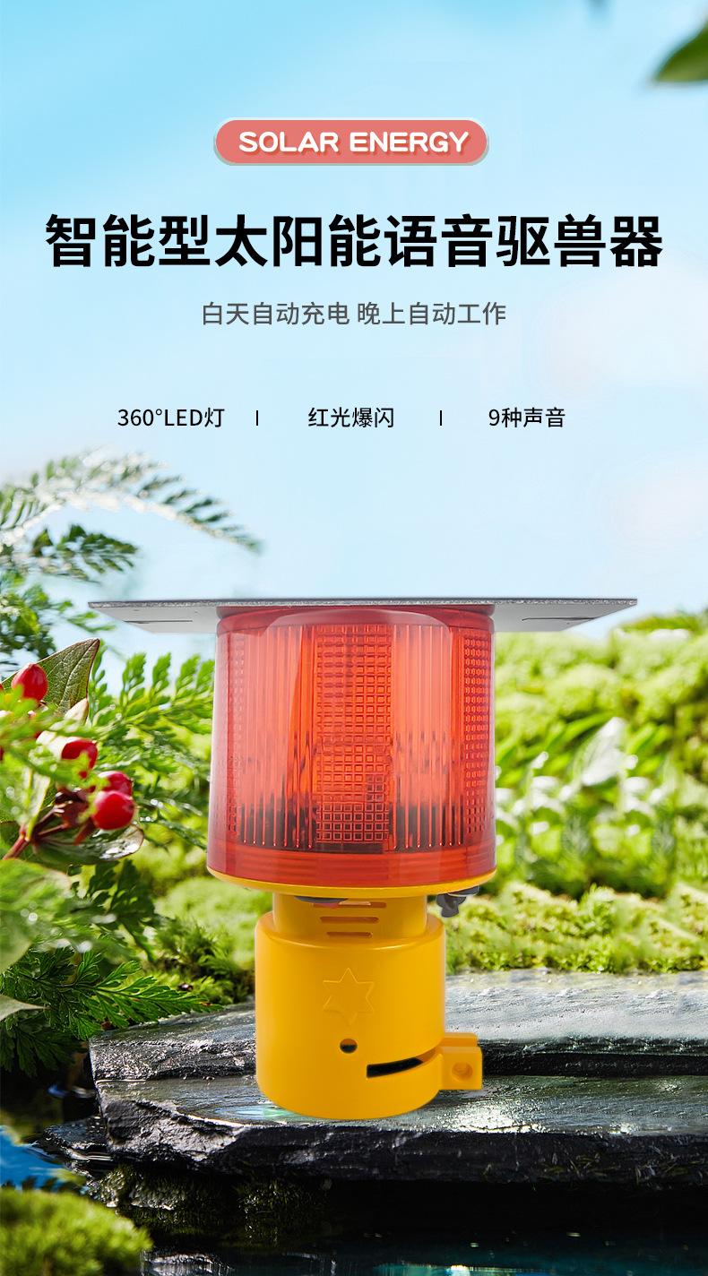 详情页_01.jpg
