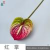 Anthurium Moderno Sin Rociado Goma Suave Palma Grulla de Fuego Flor de Centro Comercial Pared de Flores Paisajismo Flores Artificiales Arreglo Floral para Boda Flores Decorativas de Seda