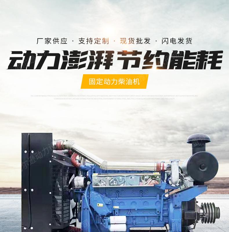 固定动力柴油机_01.jpg