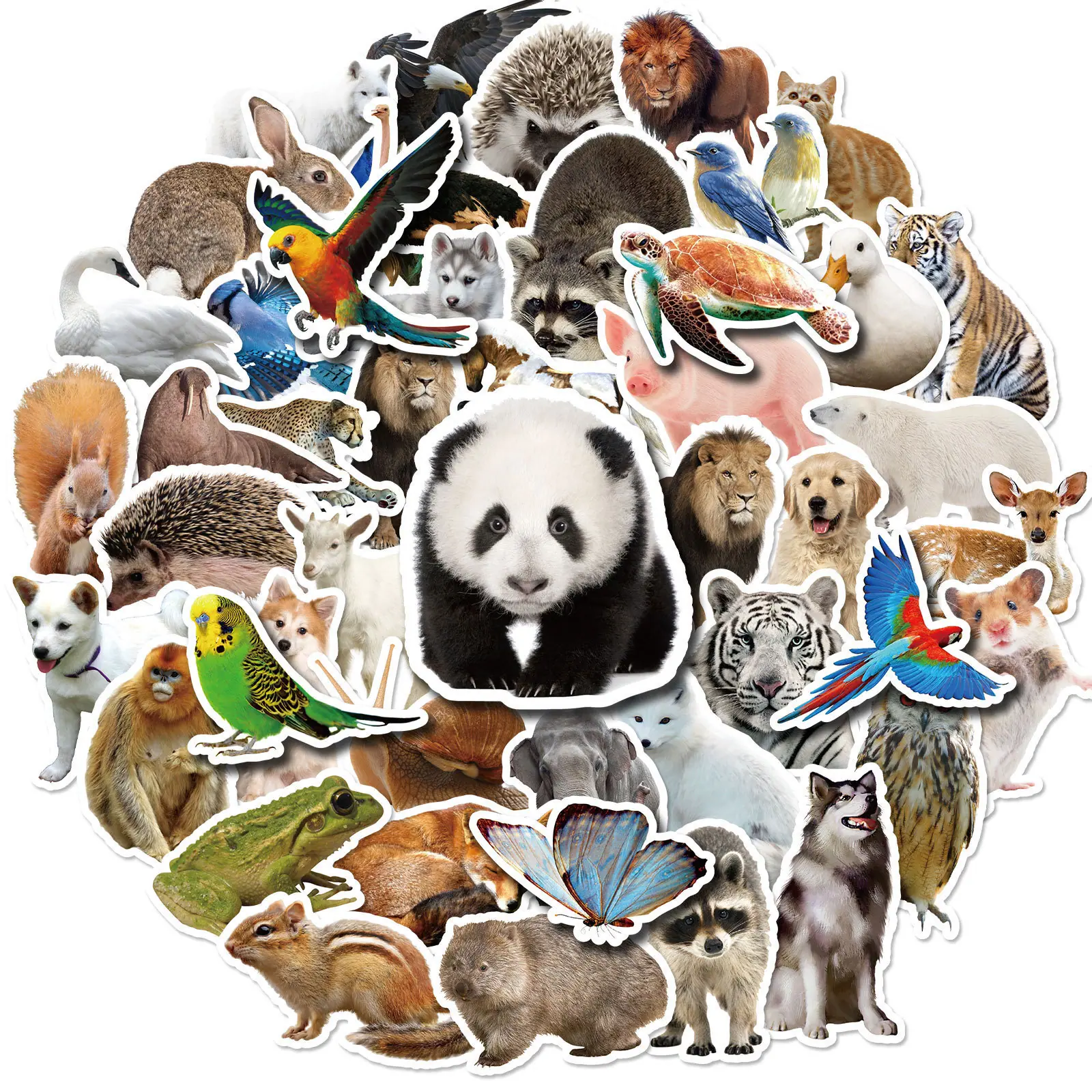主图1.jpg
