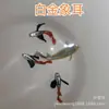 Peixe Tropical, Peixe Ornamental, Guppy, Anchova, Leque Vermelho Brasileiro, Renda de Orelha Grande, Juvenil Todo Vermelho, Peixe Vivo, Peixe-Anjo