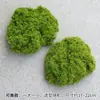 Grama de Musgo Biónica Artificial Musgo Falso Micro Paisagismo Decoração Gramado Bonsai Plantado em Vaso Pavimentação Paisagismo
