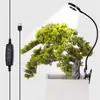 Suministro Exclusivo Transfronterizo de Clips para Macetas con Luces de Cultivo para Plantas, Iluminación Ornamental para Suculentas, Iluminación de Espectro Completo