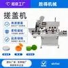 Máquina de Tampar Totalmente Automática para Tampas Rosqueadas, Tampas de Camada Dupla, Tampas Flip-Top Borboleta, Máquina de Rosquear Tampas de Garrafa, Máquina de Tampar Garrafas, Máquina de Travar Tampas