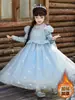 Vestido Princesa Elsa para Meninas, Vestido de Renda Frozen, Vestido Azul de Manga Longa, Vestido de Aniversário Estilo Sonhador