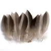 80 Tipos de Penas Naturais de Faisão, Penas Reais, Decorações Nativas Americanas, Acessórios DIY, Acessórios de Cabelo, Peças para Brinquedo de Vara para Gato