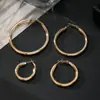 Brincos Grandes de Metal Estilo Europeu e Americano Exagerado de Alto Padrão Ins Nicho Estiloso Tendência Design Moderno
