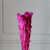 Flores de Mijo Conservadas Blancas, Flores de Mijo Secas, Venta al por Mayor desde Fabricante, Materiales para Uñas Hechas a Mano DIY