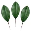 Hojas de Magnolia, Hojas para Arreglos Florales Artificiales, Accesorios de Hojas de Cartón para Tarjetas de Boda Transfronterizas, Flores de Tela con Adhesivo