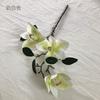 Una flor de madera de camino, nueva película, flor falsa, decoración para sala de estar, mesa de comedor, simulación floral clásica china para el hogar, magnolia