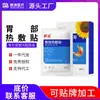 Parche de Compresa Caliente para el Estómago de Girasol Categoría II Ayuda Antiinflamatorio y Alivia el Dolor, Mejora la Deficiencia de Bazo y Estómago, Cólicos, Hinchazón Abdominal y Dolor por Plenitud
