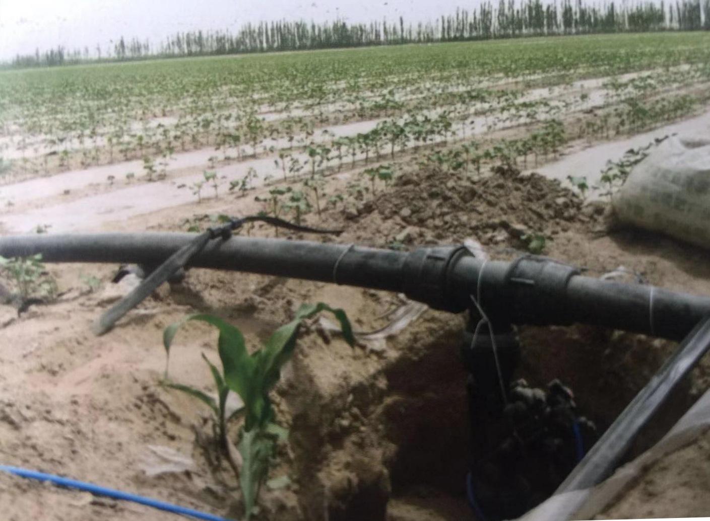 微信图片_20190105123521