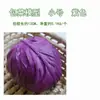 Modelo de Verdura Simulada Lechuga Falsa Repollo Brócoli Hojas Verdes Hojas de Shanghái Modelo de Gabinete Decoración para Casa