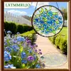 Atraente de Sol em Vitral Não Me Esquecas Mais Mais Vendido Transfronteiriço, Decoração de Vidro para Pendurar em Janela de Jardim Estilo Europeu e Americano