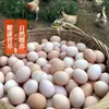 40 piezas de huevos frescos naturales de granja de gallinas de corral auténticas, ricos en nutrientes de Cordyceps, aptos para uso comercial, disponibles para compra al por mayor