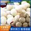 Bolas de Carne de Chaozhou, Bolas de Peixe de Chaozhou, Bolas para Hot Pot, Bolas de Carne Congelada, Bolas de Tendão de Boi, Hot Pot Picante, Bolas de Oden
