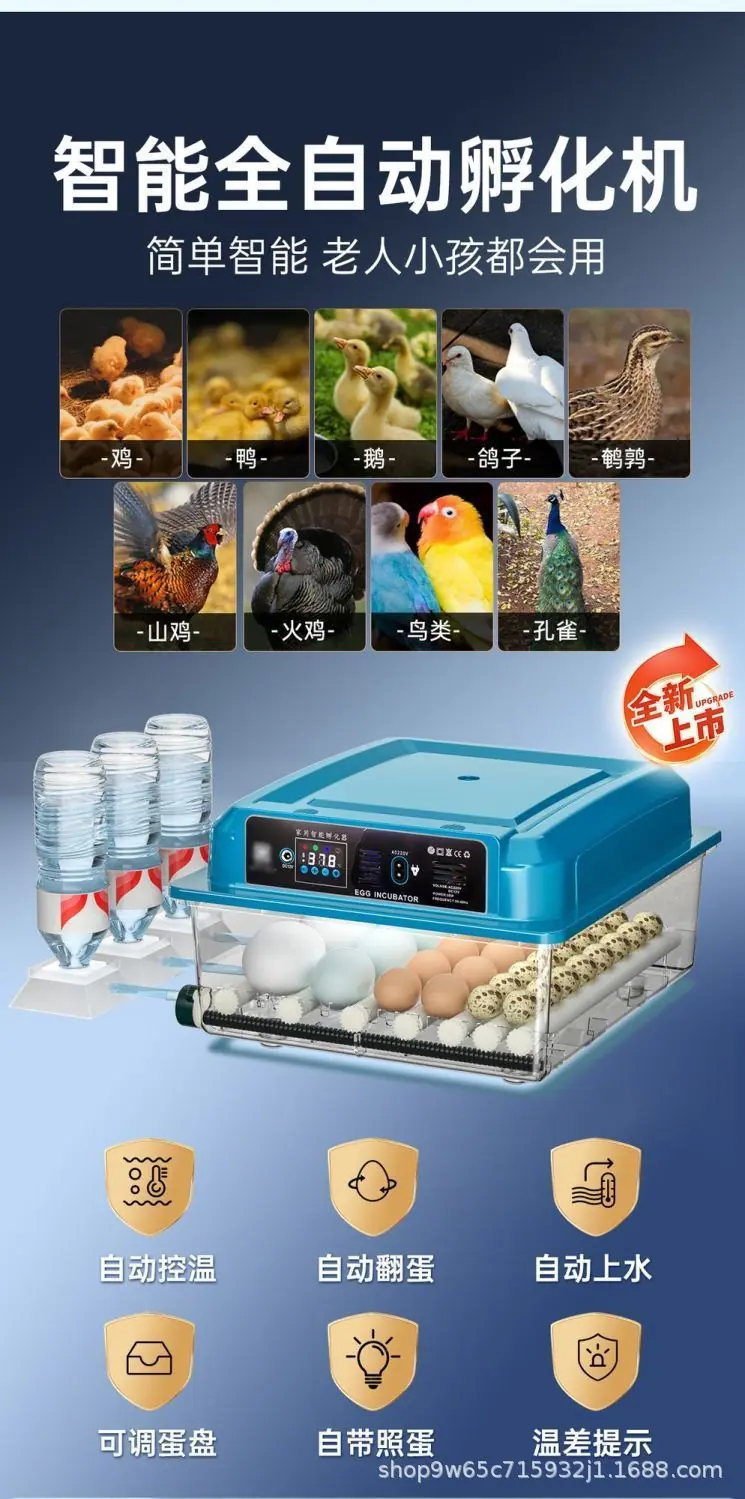 详情图片_02.jpeg