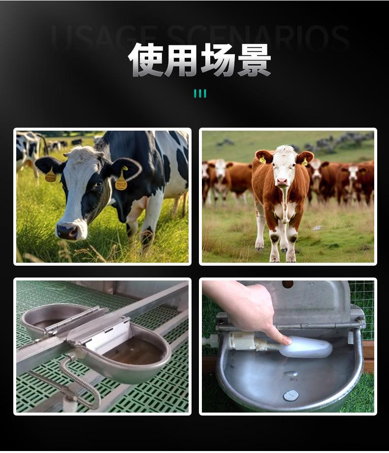 详情_03
