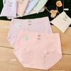 Nueva Ropa Interior Wandieli para Mujer, Calzones Suaves Transpirables Anti-luz Amigables con la Piel