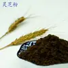 La Fábrica Produce Polvo de Ganoderma Lucidum Listo para Usar, Polvo Original Seco Comestible. Descuentos por Cantidad. Venta al por mayor a partir de 0.5 kg Piezas