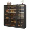 Gabinete para Zapatos Gabinete de Entrada Gabinete de Vidrio para Zapatos Doméstico Gabinete de Almacenamiento Gabinete de Almacenamiento Montado en Pared Integrado Puerta Gabinete de Almacenamiento para Pasillo Zapatero