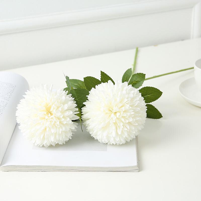 12157528496_466098134