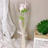 Día de la Madre Rosa Clavel Tulipán Producto Terminado una Flor Eterna de Lana Tejida a Mano con Embalaje Regalo