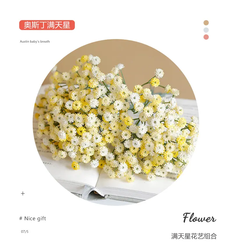 迷你小单枝奥斯丁满天星-黄底_02.jpg