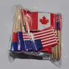 Bandeirinhas de Palito da Copa do Mundo de 2026: Bandeiras dos Estados Unidos, Canadá, México, França, Alemanha, Austrália, China