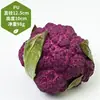Adereços de vegetais de simulação modelo de vegetal de simulação folhas de alface falsas brócolis repolho adereços de supermercado frutas e vegetais crianças