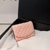 Bolsa de Mão Acolchoada de Nicho da Moda para Mulheres 2025 Nova Carteira Curta Versátil de Alto Valor Porta-Cartões Simples Estiloso