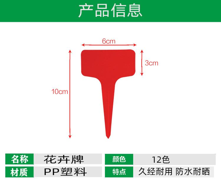 详细页8