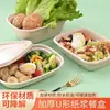 Cajas de Almuerzo Biodegradables, Vajilla Desechable de Pulpa, Cajas de Almuerzo de Pulpa Aptas para Microondas, Cajas de Embalaje para Llevar Ensaladas y Comida Ligera