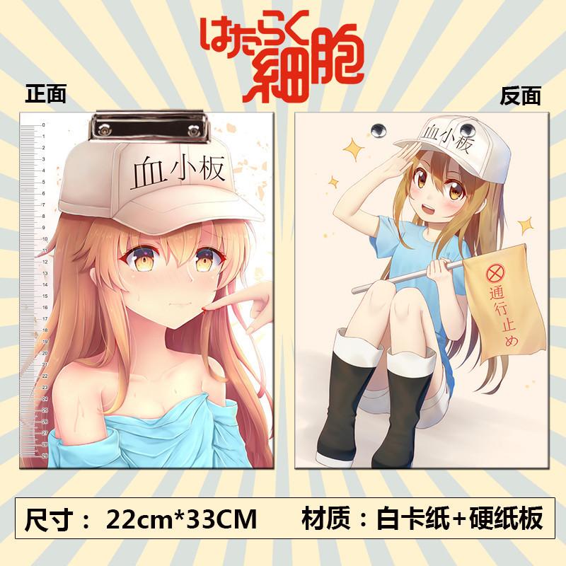 工作细胞.jpg