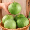 Tsuen Yin Tsuen Miel No. 15 Semillas de Melón Semillas de Melón Verde Esmeralda Dulce, Crujiente y Jugoso para Uso en Invernadero