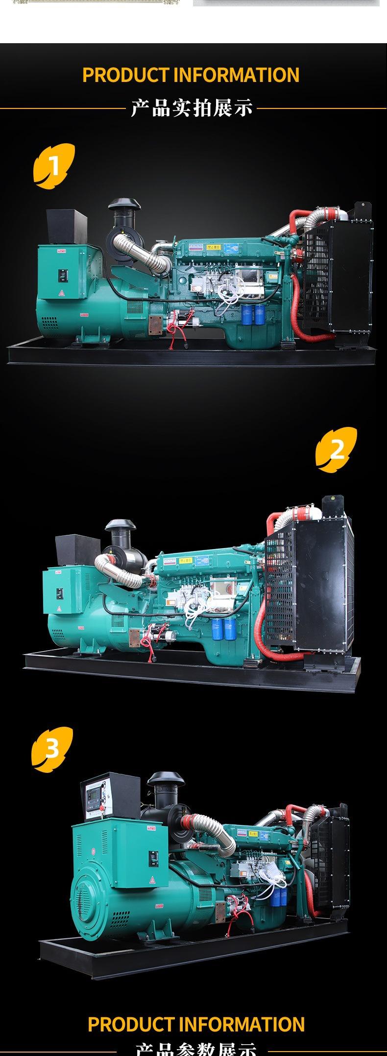 200kw发电机_005.jpg