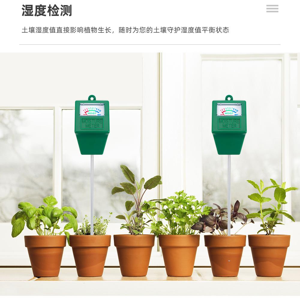 详情 (4).jpg