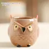 Maceta de Búho de Dibujos Animados Creativa Transfronteriza Suave para Suculentas, Maceta de Pulgar Personalizada Creativa para Escritorio de Interior con Maceta para Suculentas