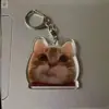 Comida Gato Cabeza Plátano Gato Expresión Llavero Celebridad de Internet Gato Tonto Xiaohongshu Colgante para Mochila