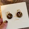 Pendientes Retro Franceses de Piedra Ojo de Tigre Diseño Sencillo Nicho Pendientes Exagerados 2025 Estilo Literario de Hong Kong Pendientes Maillard